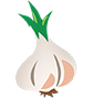 Garlic 85×89